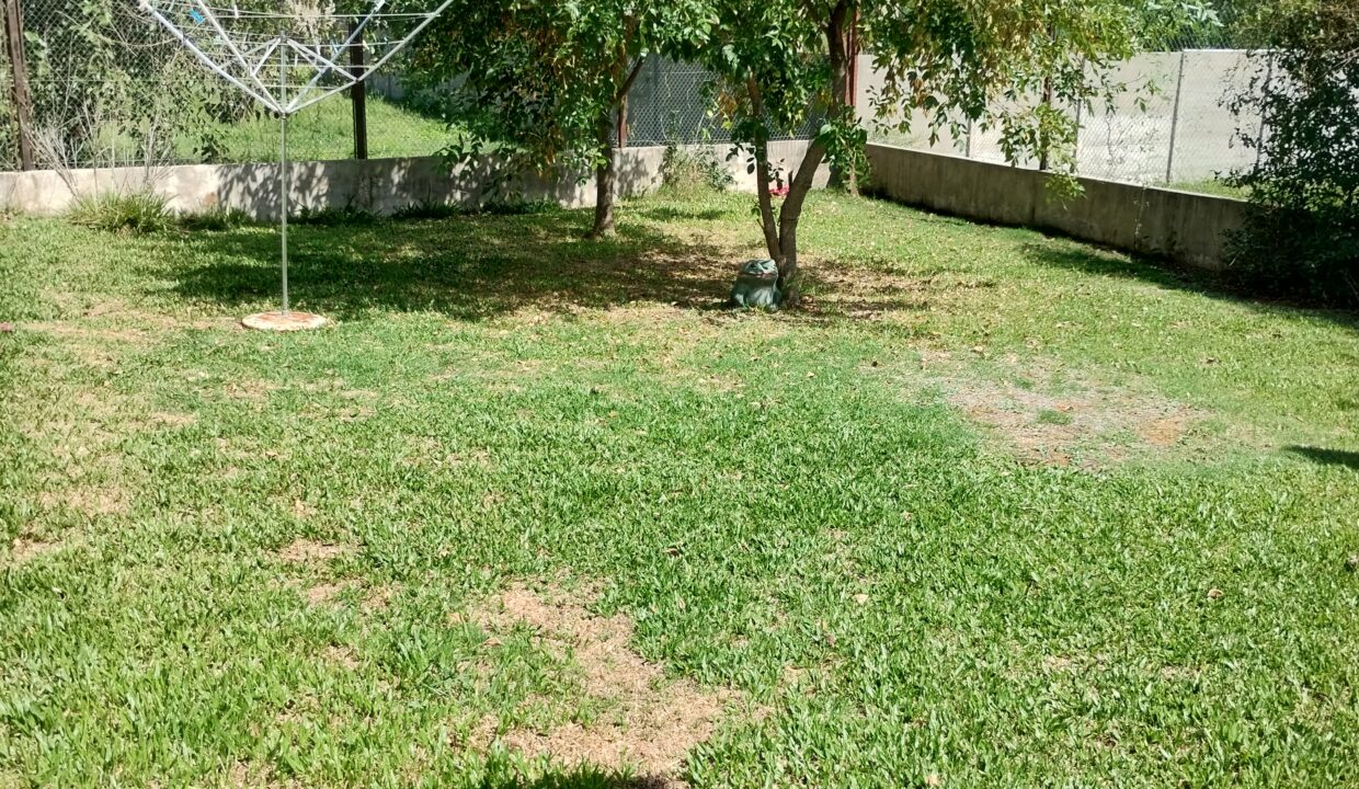 IMG_20260218_104808536_HDR (1)